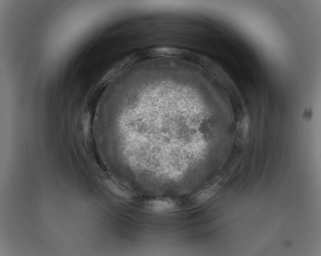 X0000091920765200709261642