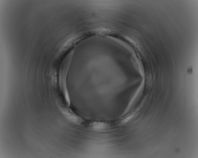 X0000091920766200709261642