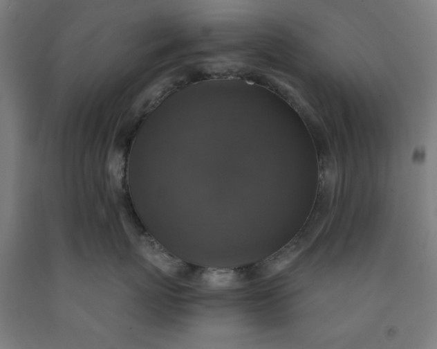 X0000091920767200709261642