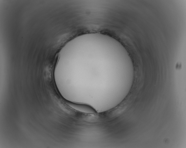 X0000091920768200709261642