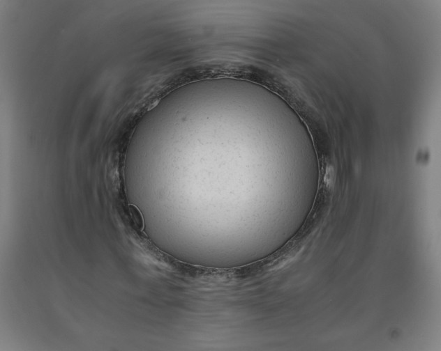 X0000091920771200709261642