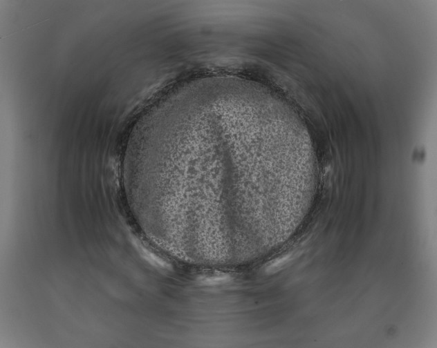 X0000091920772200709261642