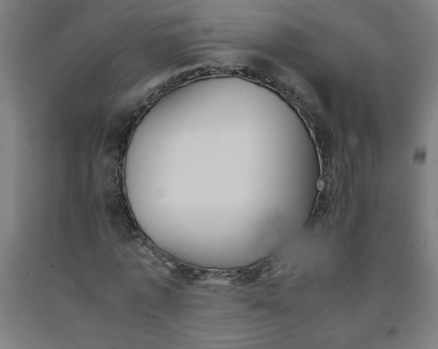 X0000091920773200709261642