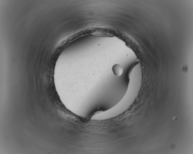 X0000091920775200709261642