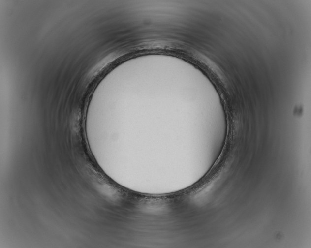 X0000091920778200709261642