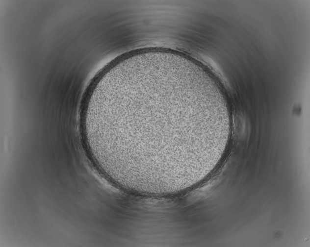 X0000091920780200709261641