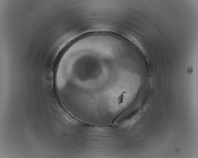 X0000091920781200709261641