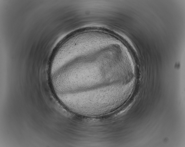 X0000091920783200709261641