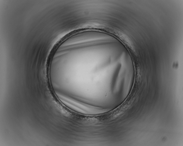 X0000091920784200709261641