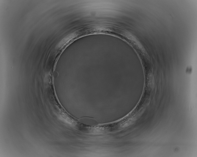 X0000091920785200709261641