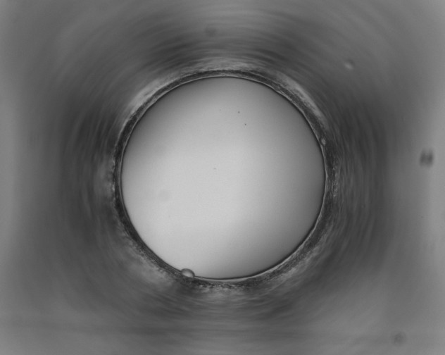 X0000091920786200709261641