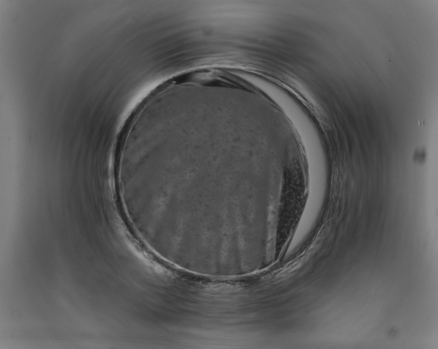 X0000091920788200709261641