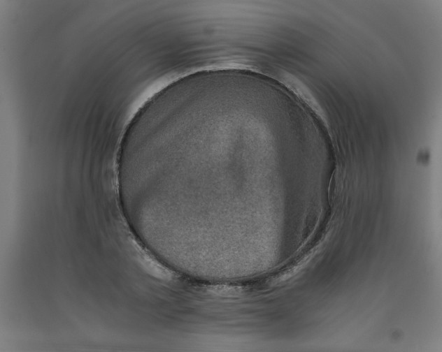 X0000091920789200709261641