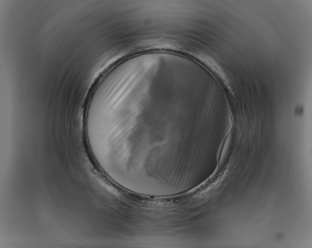 X0000091920790200709261641