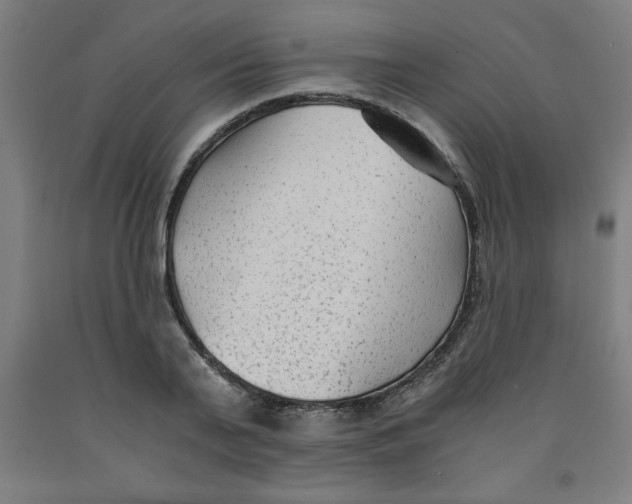 X0000091920791200709261641