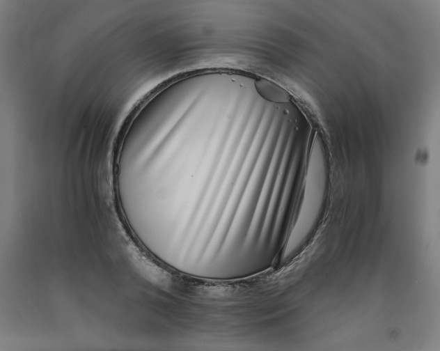 X0000091920792200709261641