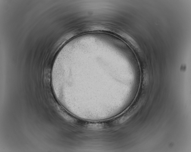 X0000091920793200709261641