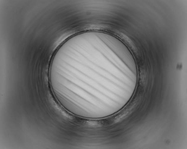 X0000091920794200709261641