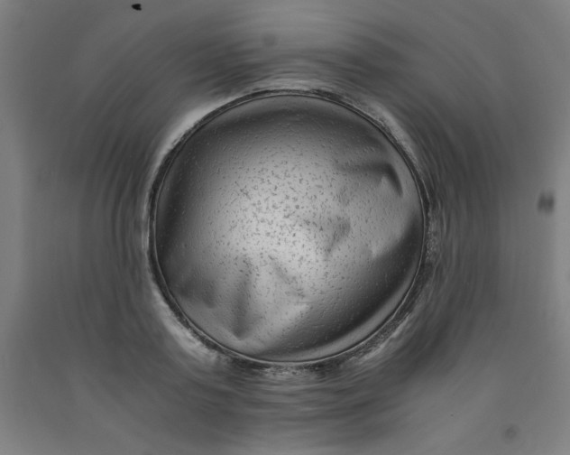 X0000091920795200709261641