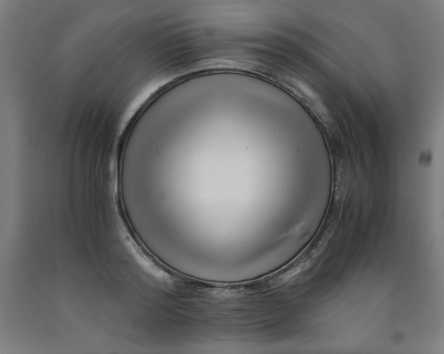 X0000091920796200709261641