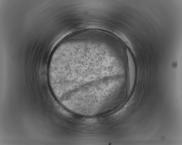 X0000091920798200709261641