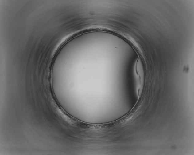 X0000091920799200709261641