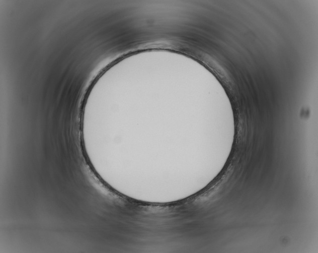 X0000091920800200709261641