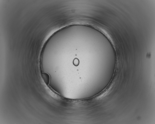 X0000091920803200709261641