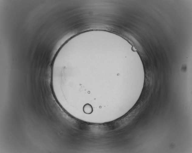 X0000091920804200709261641