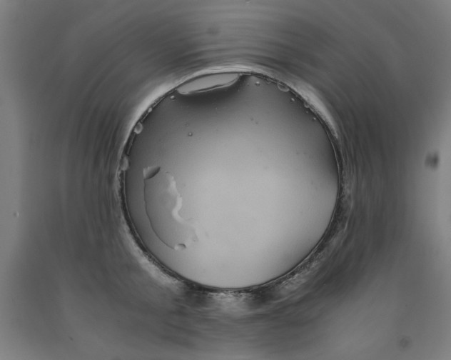 X0000091920805200709261641