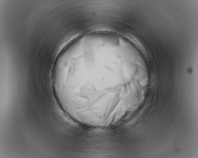 X0000091920806200709261641