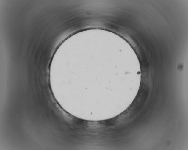 X0000091920807200709261641