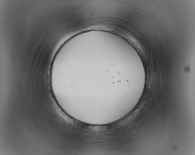 X0000091920808200709261641