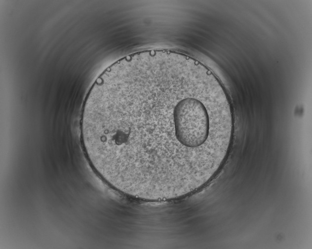 X0000091920810200709261641