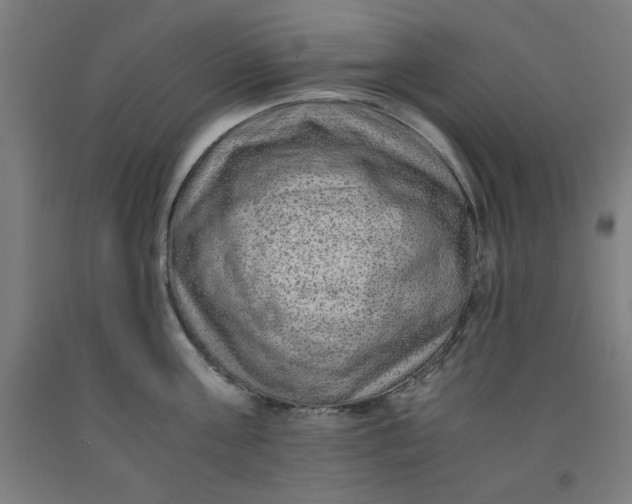 X0000091920811200709261641