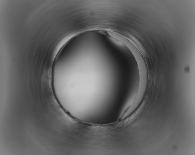 X0000091920812200709261641