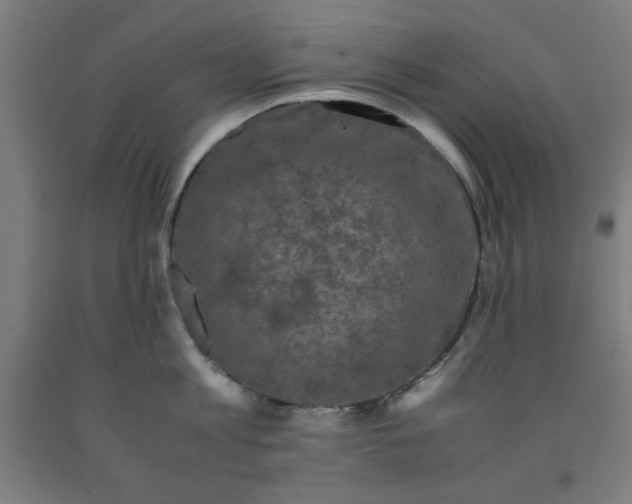 X0000091920813200709261641