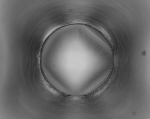 X0000091920814200709261641