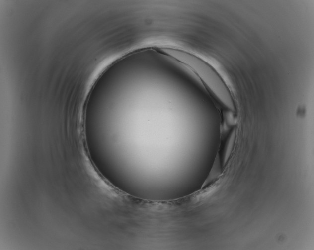 X0000091920815200709261641