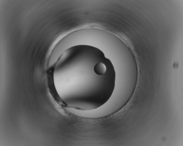 X0000091920816200709261641