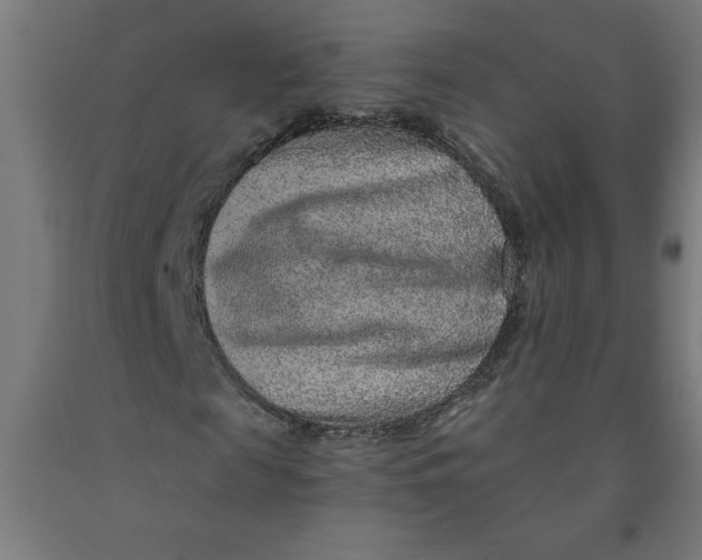 X0000091920817200709261640