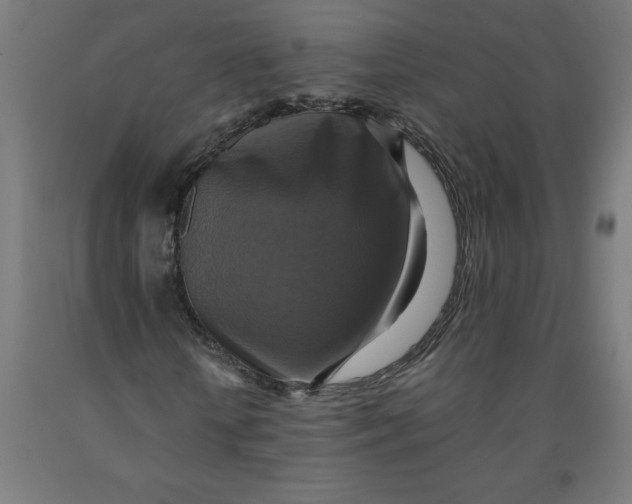 X0000091920818200709261640