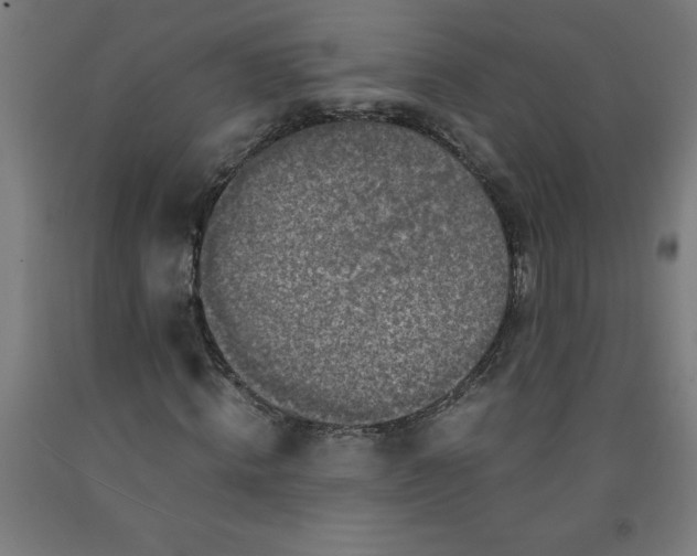 X0000091920820200709261640