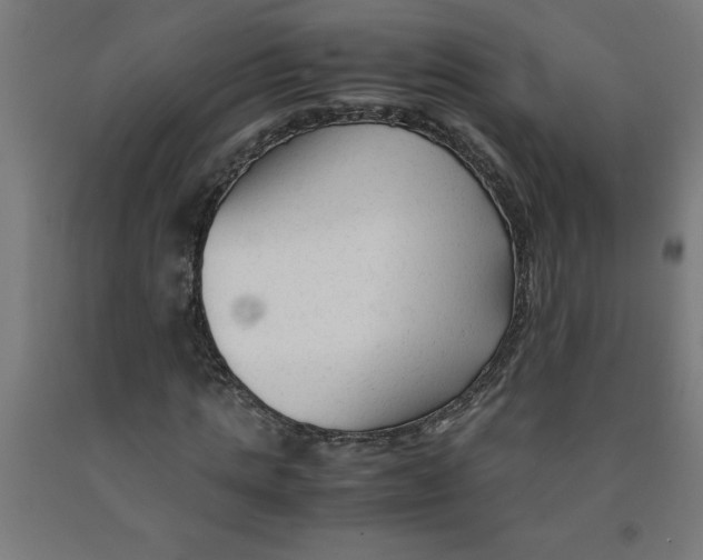 X0000091920821200709261640