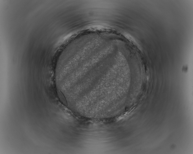 X0000091920822200709261640