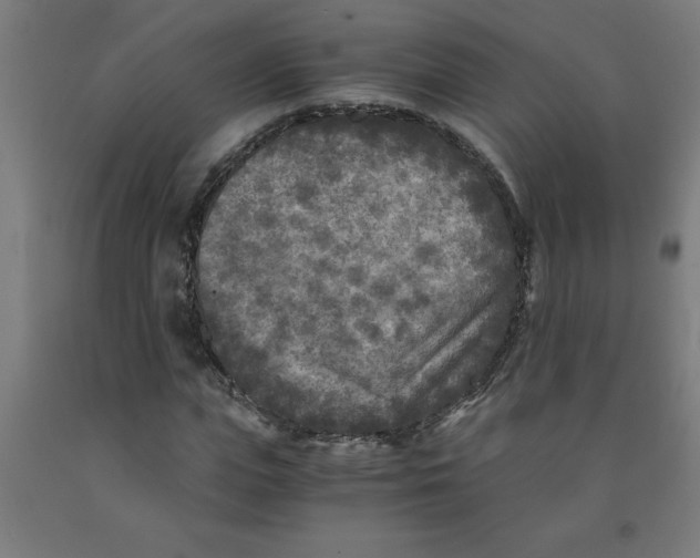 X0000091920823200709261640