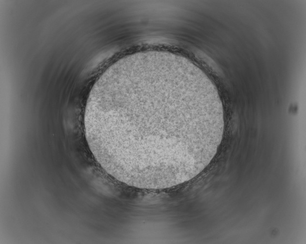 X0000091920824200709261640