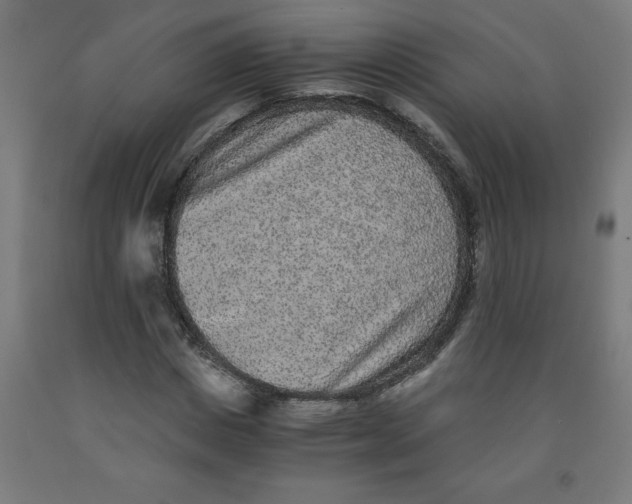 X0000091920825200709261640