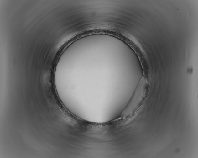 X0000091920826200709261640