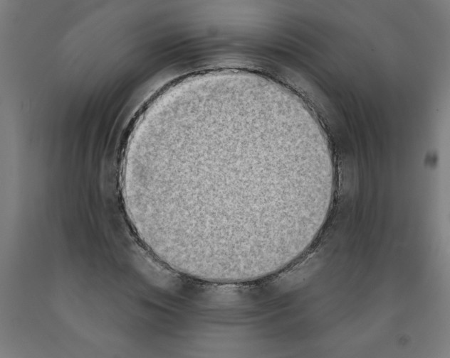 X0000091920828200709261640